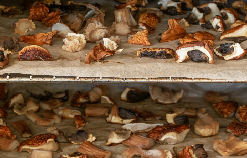 Drying Fresh Mushrooms at Home