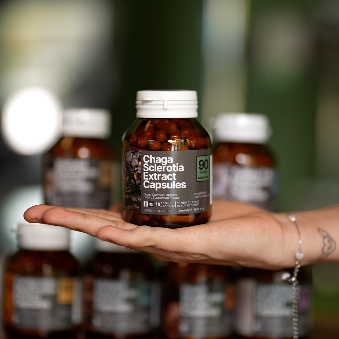 Chaga Sclerotia Extract Capsules